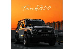 Tank 300