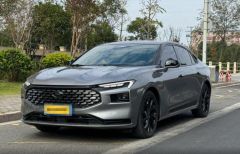 Ford Fusion Gray 2022