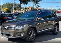 Volkswagen Tiguan Brown 2013