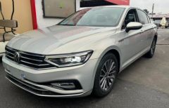 Volkswagen Magotan Brown 2019