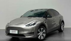 Tesla Model Silver 2021