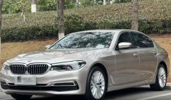 BMW 5 Series Brown 2019
