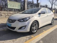 Hyundai Elantra White 2013