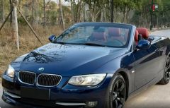 BMW 3 Series Blue 2010