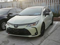 Toyota Corolla Gray 2023