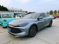 BYD QinL Gray 2024