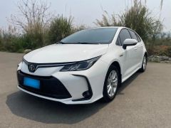 Toyota Corolla White 2023