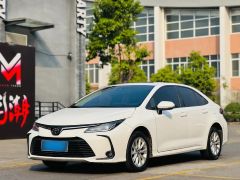 Toyota Corolla White 2021