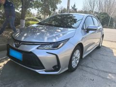 Toyota Corolla Silver 2023