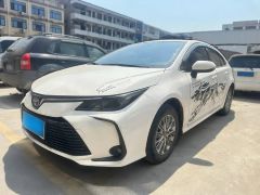 Toyota Corolla White 2019