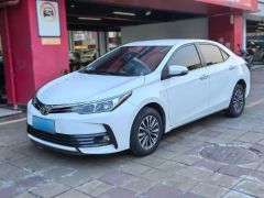 Toyota Corolla White 2018