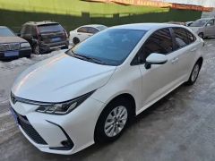 Toyota Corolla White 2023