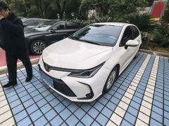 Toyota Corolla White 2021