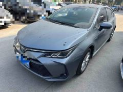 Toyota Corolla Gray 2021