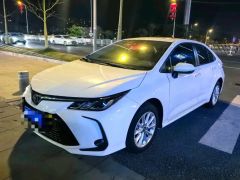 Toyota Corolla White 2021