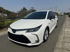 Toyota Corolla White 2023