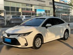 Toyota Corolla White 2019