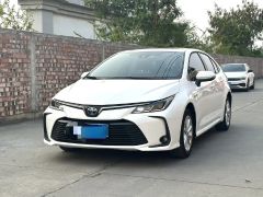 Toyota Corolla White 2022