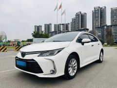 Toyota Corolla White 2021