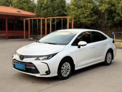Toyota Corolla White 2023