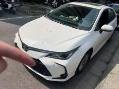 Toyota Corolla White 2021