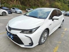 Toyota Corolla White 2022