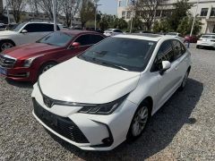 Toyota Corolla White 2023