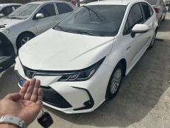Toyota Corolla White 2023