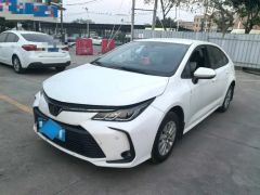 Toyota Corolla White 2019