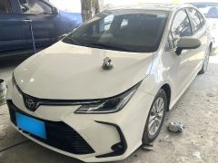 Toyota Corolla White 2021
