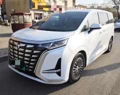 Denza D9 White 2022