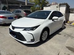 Toyota Corolla White 2021
