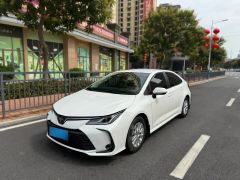 Toyota Corolla White 2022