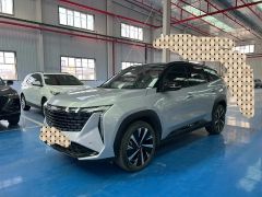 Geely StarRay Gray 2023