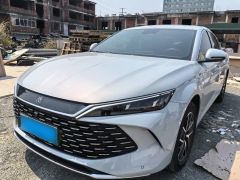 BYD QinL Blue 2024