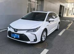 Toyota Corolla White 2023