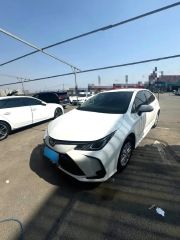Toyota Corolla White 2022