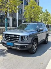 Haval Dargo Other 2021
