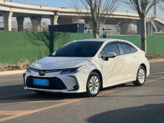 Toyota Corolla White 2023