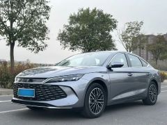 BYD QinL Gray 2024