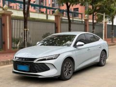 BYD QinL Blue 2024