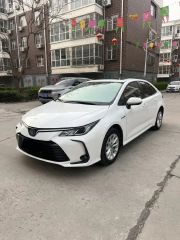 Toyota Corolla White 2022