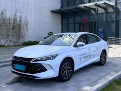 BYD QinL White 2024