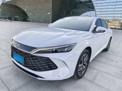 BYD QinL White 2024