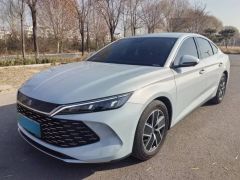 BYD QinL Blue 2024