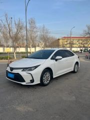 Toyota Corolla White 2021