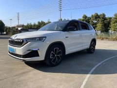 Skoda Kamiq White 2020