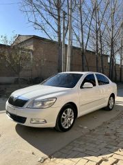 Skoda Octavia White 2013