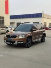 Skoda Yeti Brown 2014