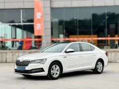 Skoda Superb White 2019